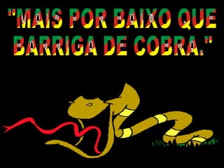 "MAIS POR BAIXO QUE BARRIGA DE COBRA." 