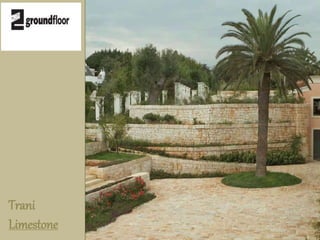 Trani 
Limestone 
 