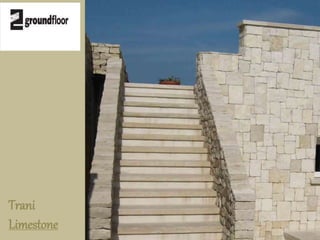 Trani 
Limestone 
 