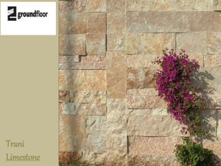 Trani 
Limestone 
 