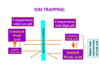 ION TRAPPING
BIOLO
GICAL
BARR
IER
Compartment
with High pH
Compartment
with Low pH
Unionized
Weak
Acid
Ionized
Weak Acid
Unionized
Weak Acid
Ionized
Weak Acid
Higher
total
concentration
of
weak
acid
 
