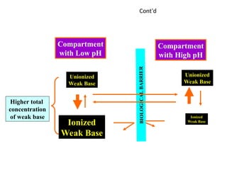 Cont’d
BIOLOG
ICAL
BARRIE
R
Compartment
with High pH
Compartment
with Low pH
Unionized
Weak Base
Ionized
Weak Base
Unionized
Weak Base
Ionized
Weak Base
Higher total
concentration
of weak base
 