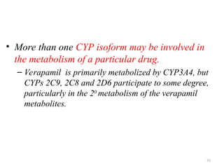 • More than one CYP isoform may be involved in
the metabolism of a particular drug.
– Verapamil is primarily metabolized by CYP3A4, but
CYPs 2C9, 2C8 and 2D6 participate to some degree,
particularly in the 20
metabolism of the verapamil
metabolites.
55
 