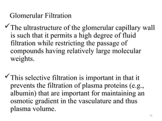 Glomerular Filtration
The ultrastructure of the glomerular capillary wall
is such that it permits a high degree of fluid
filtration while restricting the passage of
compounds having relatively large molecular
weights.
This selective filtration is important in that it
prevents the filtration of plasma proteins (e.g.,
albumin) that are important for maintaining an
osmotic gradient in the vasculature and thus
plasma volume.
72
 