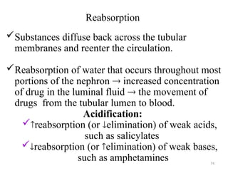 Reabsorption
Substances diffuse back across the tubular
membranes and reenter the circulation.
Reabsorption of water that occurs throughout most
portions of the nephron  increased concentration
of drug in the luminal fluid  the movement of
drugs from the tubular lumen to blood.
Acidification:
reabsorption (or elimination) of weak acids,
such as salicylates
reabsorption (or elimination) of weak bases,
such as amphetamines 74
 