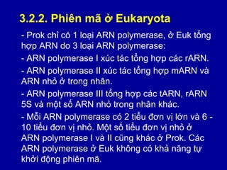 Marn Tarn Rarn Cơ sở phân tử của hiện tượng di truyền YHN | PPTX