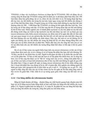 Giáo trình Di truyền học tế bào - PGS.TS Nguyễn Như Hiền | PDF