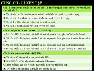 CỦNG CỐ - LUYỆN TẬP
Câu 7: Trong sự di truyền qua tế bào chất (di truyền ngoài nhân) thì vai trò của bố, mẹ
như thế nào ?
A. Vai trò của mẹ lớn hơn hoàn toàn vai trò của bố đối với sự di truyền tính trạng.
B. Vai trò của bố lớn hơn vai trò của mẹ đối với sự di truyền tính trạng
C. Vai trò P là khác nhau đối với sự di truyền tính trạng
D. Vai trò P là như nhau đối với sự di truyền tính trạng
Câu 8: Bộ gen của ti thể (mtADN) có chức năng là:
A. Mã hóa nhiều thành phần của ti thể và một số protein tham gia chuỗi chuyền điện tử.
B. Mã hóa nhiều thành phần của ti thể và một số protein tham gia cấu trúc màng bên ngoài ti
thể.
C. Mã hóa nhiều thành phần của ti thể và một số protein tham gia cấu trúc màng nhân.
D. Mã hóa nhiều thành phần của ti thể và một số protein tham gia cấu trúc thoi phân bào.
Câu 9: Khi gen ngoài nhân bị đột biến
A. Tất cả các tế bào con đều mang nhân đột biến
B. Gen đột biến không phân bố đều cho các tế bào con
C. Tính chất của gen đột biến chỉ được biểu hiện ở cơ thể đồng hợp
D. Đột biến sẽ không được di truyền cho các thế hệ sau
 