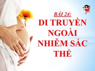 BÀI 24:
DI TRUYỀN
NGOÀI
NHIỄM SẮC
THỂ
 