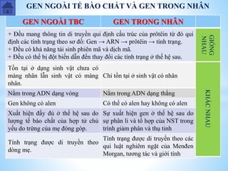GEN NGOÀI TẾ BÀO CHẤT VÀ GEN TRONG NHÂN
GEN NGOÀI TBC GEN TRONG NHÂN
KHÁCNHAU
+ Đều mang thông tin di truyền qui định cấu trúc của prôtêin từ đó qui
định các tính trạng theo sơ đồ: Gen → ARN → prôtêin → tính trạng.
+ Đều có khả năng tái sinh phiên mã và dịch mã.
+ Đều có thể bị đột biến dẫn đến thay đổi các tính trạng ở thế hệ sau.
GIỐNG
NHAU
Chỉ tồn tại ở sinh vật có nhân
Nằm trong ADN dạng thẳng
Có thể có alen hay không có alen
Sự xuất hiện gen ở thế hệ sau do
sự phân li và tổ hợp của NST trong
trình giảm phân và thụ tinh
Tính trạng được di truyền theo các
qui luật nghiêm ngặt của Menđen
Morgan, tương tác và giới tính
Tồn tại ở dạng sinh vật chưa có
màng nhân lẫn sinh vật có màng
nhân.
Nằm trong ADN dạng vòng
Gen không có alen
Xuất hiện đầy đủ ở thế hệ sau do
lượng tế bào chất của hợp tử chủ
yếu do trứng của mẹ đóng góp.
Tính trạng được di truyền theo
dòng mẹ.
 