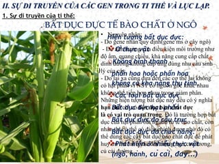 II. SỰ DI TRUYỀN CỦA CÁC GEN TRONG TI THỂ VÀ LỤC LẠP.
1. Sự di truyền của ti thể:
Hiện tượng bất dục đực:
Ở thực vật
oKhông hình thành
phấn hoa hoặc phấn hoa
không có khả năng thụ tinh.
Các loại bất dục đực
*Bất dục đực hạt phấn
*Bất dục đực do cấu trúc
*Bất dục đực do chức năng.
Phát hiện ở nhiều thực vật
(ngô, hành, củ cải, đay…)
. BẤT DỤC ĐỰC TẾ BÀO CHẤT Ở NGÔ
Hình cây ngô (hoặc lúa)
• Nguyên nhân:
- Do gene nhân quy định(gene ms ở cây ngô)
- Do ảnh hưởng của điều kiện môi trường như
độ ẩm, quang chiếu, khả năng cung cấp chất
dinh dưỡng không đáp ứng đúng nhu cầu sinh
lý của cây
- Do lai xa cũng đưa đến các cơ thể lai không
có hạt phấn vì NST có nguồn gốc khác nhau
không thể tiếp hợp nhau trong giảm phân.
Những hiện tượng bất dục này đều có ý nghĩa
hạn chế chỉ có bất dục bào chất đực
là có vai trò quan trọng. Đó là trường hợp bất
dục của hạt phấn bắt nguồn từ tế bào chất, còn
nhân thì có thể có điều chỉnh được nhờ đó có
thể dùng các cây bất dục bào chất đực để phát
huy ưu thế lai ở các đối tượng ngô,cao lương,
củ cải đường...
 