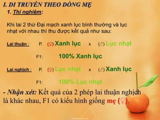 I. DI TRUYỀN THEO DÒNG MẸ
1. Thí nghiệm:
Khi lai 2 thứ Đại mạch xanh lục bình thường và lục
nhạt với nhau thì thu được kết quả như sau:
Lai thuận : P. (♀) Xanh lục x (♂) Lục nhạt
F1: 100% Xanh lục
Lai nghịch : P. (♀) Lục nhạt x (♂) Xanh lục
F1: 100% Lục nhạt
- Nhận xét: Kết quả của 2 phép lai thuận nghịch
là khác nhau, F1 có kiểu hình giống mẹ (♀).
(♀)
(♀)
 