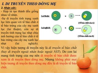 2. Nhận xét:
- Hợp tử tạo thành đều giống
nhau về nhân.
-Sự di truyền tính trạng xanh
lục liên quan với tế bào chất ở
tế bào trứng của cây mẹ xanh
lục (lai thuận), còn sự di
truyền tính trạng lục nhạt chịu
ảnh hưởng của tế bào chất ở tế
bào trứng của cây mẹ xanh lục
nhạt (lai nghịch).
I. DI TRUYỀN THEO DÒNG MẸ
Vì vậy hiện tượng di truyền này là di truyền tế bào chất
(hay di truyền ngoài nhân hoặc ngoài NST). Do con lai
mang tính trạng của mẹ nên di truyền tế bào chất được
xem là di truyền theo dòng mẹ. Nhưng không phải mọi
hiện tượng di truyền theo dòng mẹ đều là di truyền tế bào
chất.
 