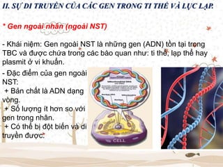 II. SỰ DI TRUYỀN CỦA CÁC GEN TRONG TI THỂ VÀ LỤC LẠP.
* Gen ngoài nhân (ngoài NST)
- Khái niệm: Gen ngoài NST là những gen (ADN) tồn tại trong
TBC và được chứa trong các bào quan như: ti thể, lạp thể hay
plasmit ở vi khuẩn.
- Đặc điểm của gen ngoài
NST:
+ Bản chất là ADN dạng
vòng.
+ Số lượng ít hơn so với
gen trong nhân.
+ Có thể bị đột biến và di
truyền được.
 