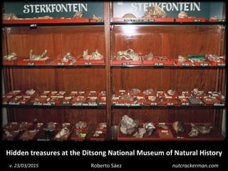 1
Hidden treasures at the Ditsong National Museum of Natural History
Roberto Sáezv. 23/03/2015 nutcrackerman.com
 