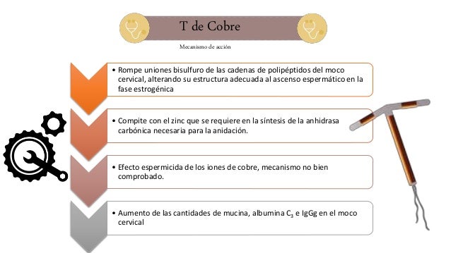 Dispositivo Intrauterino (DIU)