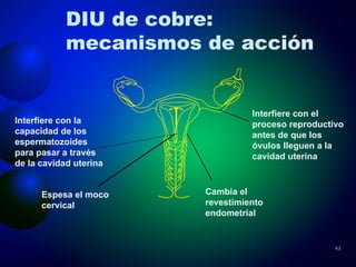 DIU de cobre: mecanismos de acción  Interfiere con el proceso reproductivo antes de que los óvulos lleguen a la cavidad uterina Espesa el moco cervical Interfiere con la capacidad de los espermatozoides para pasar a través de la cavidad uterina Cambia el revestimiento endometrial 