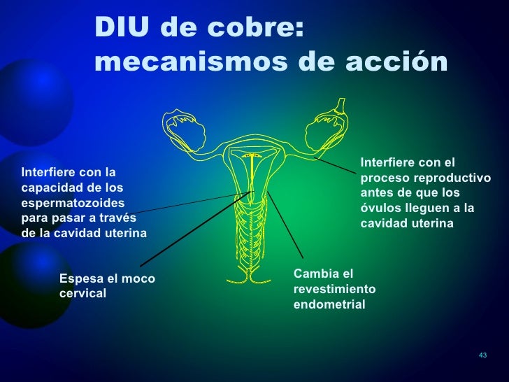 Mecanismo De Acción Del Diu De Cobre