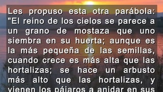 Les propuso esta otra parábola:Les propuso esta otra parábola:
"El reino de los cielos se parece a"El reino de los cielos se parece a
un grano de mostaza que unoun grano de mostaza que uno
siembra en su huerta; aunque essiembra en su huerta; aunque es
la más pequeña de las semillas,la más pequeña de las semillas,
cuando crece es más alta que lascuando crece es más alta que las
hortalizas; se hace un arbustohortalizas; se hace un arbusto
más alto que las hortalizas, ymás alto que las hortalizas, y
 