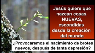 Jesús quiere queJesús quiere que
nazcan cosasnazcan cosas
NUEVAS,NUEVAS,
escondidasescondidas
desde la creacióndesde la creación
del mundodel mundo
¿Provocaremos el nacimiento de brotes
nuevos, después de tanta depresión?
 