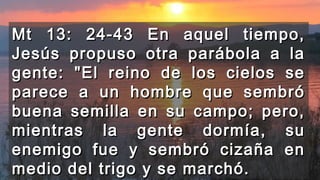 Mt 13: 24-43 En aquel tiempo,Mt 13: 24-43 En aquel tiempo,
Jesús propuso otra parábola a laJesús propuso otra parábola a la
gente: "El reino de los cielos segente: "El reino de los cielos se
parece a un hombre que sembróparece a un hombre que sembró
buena semilla en su campo; pero,buena semilla en su campo; pero,
mientras la gente dormía, sumientras la gente dormía, su
enemigo fue y sembró cizaña enenemigo fue y sembró cizaña en
medio del trigo y se marchó.medio del trigo y se marchó.
 
