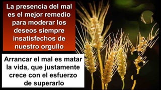 Arrancar el mal es matar
la vida, que justamente
crece con el esfuerzo
de superarlo
La presencia del malLa presencia del mal
es el mejor remedioes el mejor remedio
para moderar lospara moderar los
deseos siempredeseos siempre
insatisfechos deinsatisfechos de
nuestro orgullonuestro orgullo
 