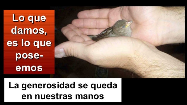 Sexual el miembro aumentar