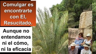 Comulgar esComulgar es
encontrarteencontrarte
con El,con El,
Resucitado.Resucitado.
Aunque no
entendamos
ni el cómo,
ni la eficacia
 