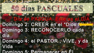 Día de PASCUA: Este es el DÍADía de PASCUA: Este es el DÍA
Domingo 2: CREER en el “Dios Mío”Domingo 2: CREER en el “Dios Mío”
Domingo 3: RECONOCERLO cadaDomingo 3: RECONOCERLO cada
díadía
Domingo 4: el PASTOR , VIVE, y daDomingo 4: el PASTOR , VIVE, y da
VidaVida
 