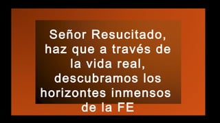 Señor Resucitado,
haz que a través de
la vida real,
descubramos los
horizontes inmensos
de la FE
 