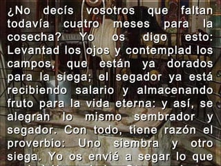 ¿No decís vosotros que faltan todavía cuatro meses para la cosecha? Yo os digo esto: Levantad los ojos y contemplad los campos, que están ya dorados para la siega; el segador ya está recibiendo salario y almacenando fruto para la vida eterna: y así, se alegran lo mismo sembrador y segador. Con todo, tiene razón el proverbio: Uno siembra y otro siega. Yo os envié a segar lo que no habéis sudado. Otros sudaron, y vosotros recogéis el fruto de sus sudores."  