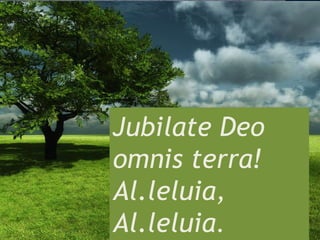 Jubilate Deo
omnis terra!
Al.leluia,
Al.leluia.
 