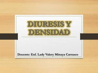 Docente: Enf. Lady Valery Minaya Carrasco
 