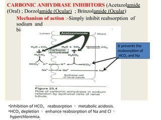 diuretic.pptx and its site of action and its effects | PPTX