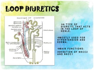 LOOP DIURETICS

                 A T Y P E O F
                 D I U R E T I C T H AT A C T S
                 IN THE LOOP OF
                 HENLE.

             M O S T L Y U S E D F O R
             HYPERTENSION AND
             EDEMA.

             M A I N F U N C T I O N S :
             INHIBITION OF NKCC2
             AND NKCC1
 