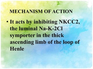 MECHANISM OF ACTION

• It acts by inhibiting NKCC2,
  the luminal Na-K-2Cl
  symporter in the thick
  ascending limb of the loop of
  Henle
 