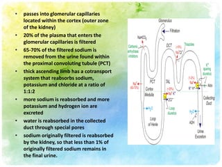 •   passes into glomerular capillaries
    located within the cortex (outer zone
    of the kidney)
•   20% of the plasma that enters the
    glomerular capillaries is filtered
•   65-70% of the filtered sodium is
    removed from the urine found within
    the proximal convoluting tubule (PCT)
•   thick ascending limb has a cotransport
    system that reabsorbs sodium,
    potassium and chloride at a ratio of
    1:1:2
•   more sodium is reabsorbed and more
    potassium and hydrogen ion are
    excreted
•   water is reabsorbed in the collected
    duct through special pores
•   sodium originally filtered is reabsorbed
    by the kidney, so that less than 1% of
    originally filtered sodium remains in
    the final urine.
 