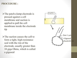 PROCEDURE :
The patch-clamp electrode is
pressed against a cell
membrane and suction is
applied to pull the cell
membrane inside the electrode
tip
The suction causes the cell to
form a tight, high-resistance
seal with the rim of the
electrode, usually greater than
10 giga Ohms, which is called
a gigaseal
Over 1 μm
Rseal≥10 GΩ
Gigaseal
Amplifier
 
