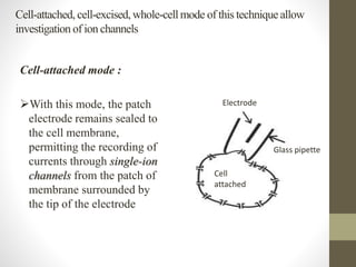 Cell-attached, cell-excised,whole-cellmode of this techniqueallow
investigation of ion channels
Cell-attached mode :
With this mode, the patch
electrode remains sealed to
the cell membrane,
permitting the recording of
currents through single-ion
channels from the patch of
membrane surrounded by
the tip of the electrode
Glass pipette
Cell
attached
Electrode
 