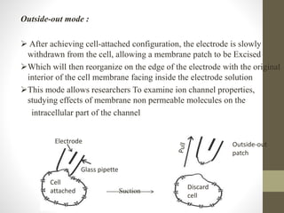 Outside-out mode :
 After achieving cell-attached configuration, the electrode is slowly
withdrawn from the cell, allowing a membrane patch to be Excised
Which will then reorganize on the edge of the electrode with the original
interior of the cell membrane facing inside the electrode solution
This mode allows researchers To examine ion channel properties,
studying effects of membrane non permeable molecules on the
intracellular part of the channel
Glass pipette
Cell
attached
Electrode Outside-out
patch
Discard
cell
Suction
 
