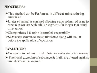 PROCEDURE :
This method can be Performed in different animals during
anesthesia
Ureter of animal is clamped allowing static column of urine to
remain in contact with tubular segments for longer than usual
time period
Clamp released & urine is sampled sequentially
Substances examined are administered along with inulin
before the application of occlusion
EVALUTION :
Concentration of inulin and substance under study is measured
 Fractional excretion of substance & inulin are plotted against
cumulative urine volume
 