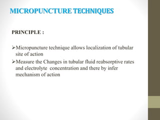 MICROPUNCTURETECHNIQUES
PRINCIPLE :
Micropuncture technique allows localization of tubular
site of action
Measure the Changes in tubular fluid reabsorptive rates
and electrolyte concentration and there by infer
mechanism of action
 