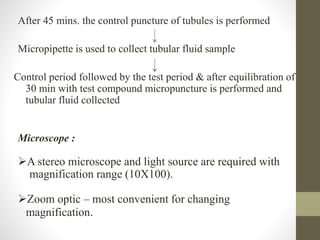 After 45 mins. the control puncture of tubules is performed
Micropipette is used to collect tubular fluid sample
Control period followed by the test period & after equilibration of
30 min with test compound micropuncture is performed and
tubular fluid collected
Microscope :
A stereo microscope and light source are required with
magnification range (10X100).
Zoom optic – most convenient for changing
magnification.
 