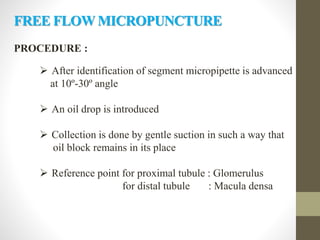 PROCEDURE :
 After identification of segment micropipette is advanced
at 10º-30º angle
 An oil drop is introduced
 Collection is done by gentle suction in such a way that
oil block remains in its place
 Reference point for proximal tubule : Glomerulus
for distal tubule : Macula densa
FREE FLOW MICROPUNCTURE
 