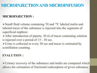 MICROINJECTIONAND MICROINFUSION
MICROINJECTION :
Small fluid volume containing 3H and 14C labeled inulin and
labeled tracer of the substance is injected into the segments of
superficial nephron
After introduction of pipette, 30 nl of tracer containing solution
is injected over a period of 15 - 30 sec.
Urine is collected at every 30 sec and tracer is estimated by
scintillation counting.
EVALUTION :
Urinary recovery of the substance and inulin are compared which
allows the estimation of fractional reabsorption of given substance.
 
