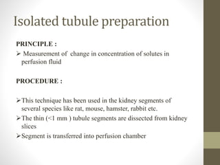 Isolated tubule preparation
PRINCIPLE :
 Measurement of change in concentration of solutes in
perfusion fluid
PROCEDURE :
This technique has been used in the kidney segments of
several species like rat, mouse, hamster, rabbit etc.
The thin (<1 mm ) tubule segments are dissected from kidney
slices
Segment is transferred into perfusion chamber
 