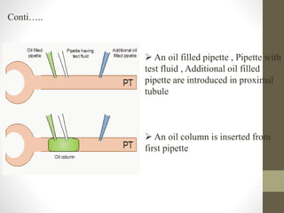  An oil filled pipette , Pipette with
test fluid , Additional oil filled
pipette are introduced in proximal
tubule
 An oil column is inserted from
first pipette
Conti…..
 