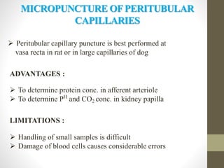  Peritubular capillary puncture is best performed at
vasa recta in rat or in large capillaries of dog
ADVANTAGES :
 To determine protein conc. in afferent arteriole
 To determine PH
and CO2 conc. in kidney papilla
LIMITATIONS :
 Handling of small samples is difficult
 Damage of blood cells causes considerable errors
MICROPUNCTURE OFPERITUBULAR
CAPILLARIES
 