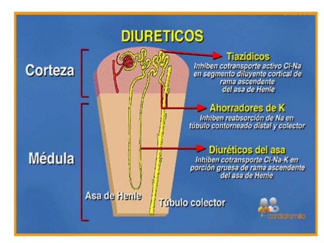 diureticos diureticos