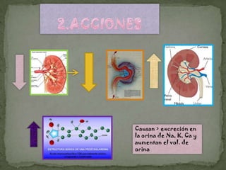 Causan > excreción en
la orina de Na, K, Ca y
aumentan el vol. de
orina
 